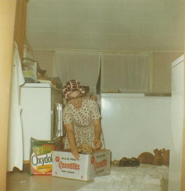 Marilyn Miunsell looking after a puppy